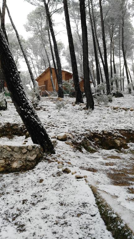 Cabanas El Robledo El Robledo  Kültér fotó